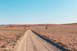 Sandstraße durch die Wüste Namib in Namibia während einer Safari