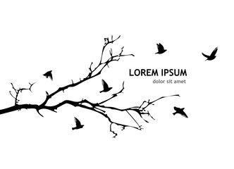 a tree branch without leaves with flying birds. vector illustration