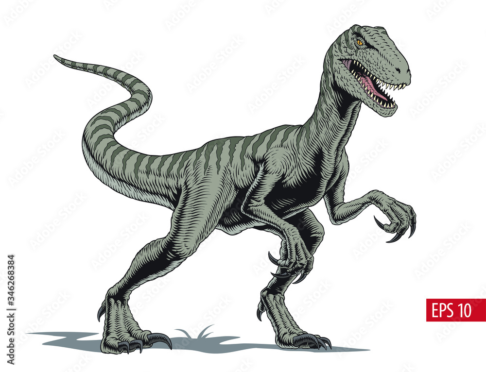 Velociraptor dinosaur, comic style vector illustration - obrazy, fototapety, plakaty 