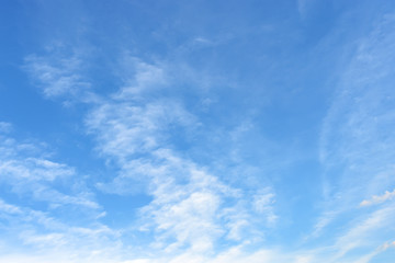 Wall Mural - light translucent cirrus clouds high in a blue spring or summer sky on a sunny day. meteorology, wea