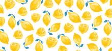 Summer Pattern With Sliced Lemons. Vector Illustration. Watercolor Lemon Fruit With Leaves Pattern On Dark Background. Lemon Citrus Tree. 