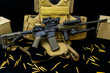 © mike - assault rifle with bulllets and tactical plate carrirer.