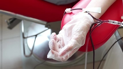 Wall Mural - close up of blood extraction in lab.