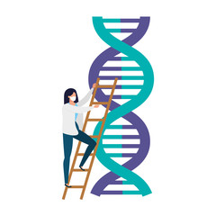 Poster - doctor female with dna structure isolated icon vector illustration design