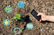 farmer with smartphone analyzing soil conditions, before plant green sprout pumpkin, innovation technology agriculture