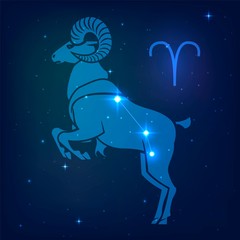 Wall Mural - aries - the constellation of the zodiac in the night starry sky