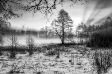 Winter Wonderland in morning light of the sunrise Black & White