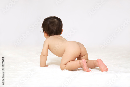 白背景の前でハイハイする赤ちゃんの後ろ姿 Buy This Stock Photo And Explore Similar Images At Adobe Stock Adobe Stock