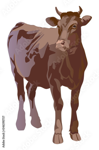79 423 Cattle Vector Wall Murals Canvas Prints Stickers Wallsheaven
