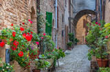 Fototapeta Kwiaty - Acquaviva Picena a small village in Ascoli Piceno province, region Marche in Italy. characteristic narrow street of the medieval village
