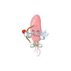 Wall Mural - Charming picture of vibrio cholerae Cupid mascot design concept with arrow and wings