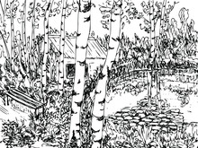 Wooden House By The Pond In The Forest. Birches Around. Bench By The Water. Vector Freehand Drawing.
Graphic Black White Sketch