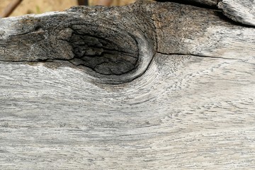 Wall Mural - surface old wood for background