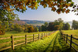 canvas print picture - autumn footpath in the english countryside with colourful leaves and woodland on a clear sunny day