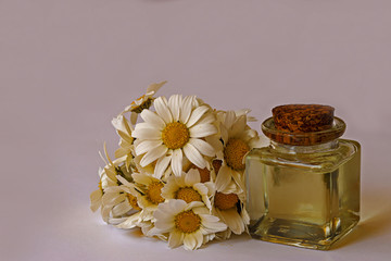 Sticker - Daisies, chamomile flowers and chamomile oil in bottles on white background