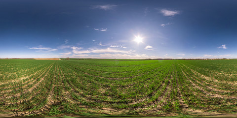 Wall Mural - full seamless spherical hdri panorama 360 degrees angle view among fields in spring day with awesome