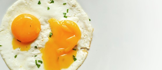 Fried eggs in a plate. Yolk close-up. Tasty breakfast. Appetizing egg breakfast. Isolated on white. Free space for text