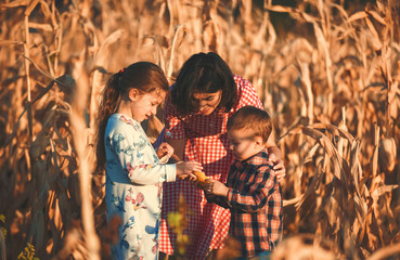 Wall Mural - mother with children in corn field