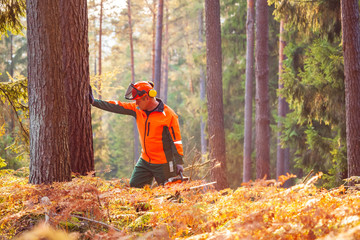 Wall Mural - lumberjack