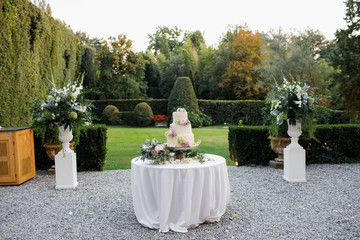 Wedding cake outside. Lots of flowers.