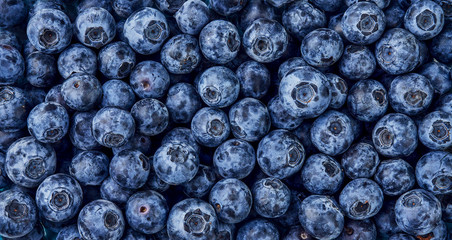 Poster - Fresh blueberry background. Top view. Concept of healthy and dieting eating. Blue texture of blueberries.