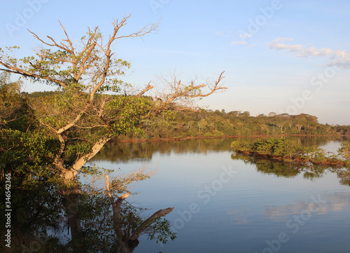Fotografía Lago visto sob a luz do sol da tarde, com bastante vegetação nativa e ensolarado