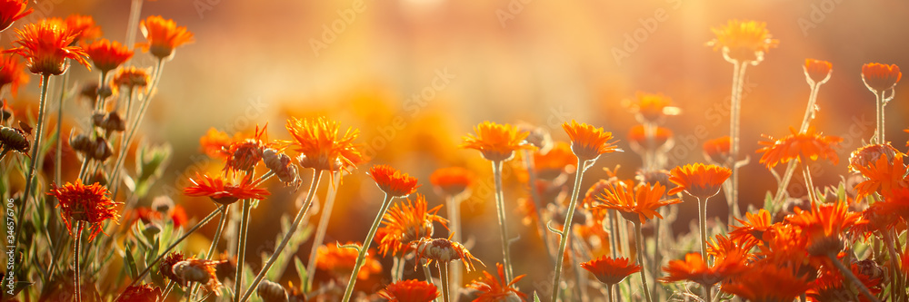 1000_F_346576706_VhqjXyOZpgeEhc8gHX54bDxzrJIckRS6.jpg