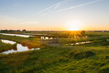 Wall Mural - sun sets over the wide open dutch polder landscape. green meadows intersected with ditches filled wi