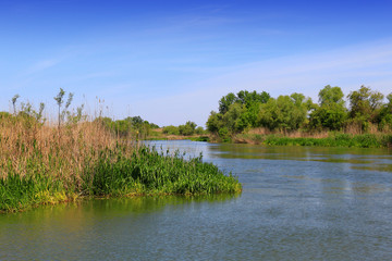 Canvas Print - River Begej . Zrenjanin, Vojvodina, Serbia