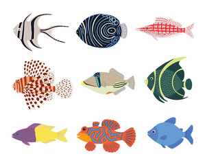 Wall Mural - Set of exotic tropical marine aquarium colorful fish