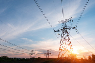 Wall Mural - electrical power lines and towers at sunset
