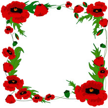 Poppy Frame Free Stock Photo - Public Domain Pictures