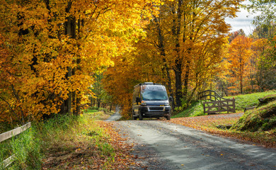 autumn leaves on country road near woodstock vermont - rv