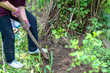 © Nariman - Digging the earth with a shovel