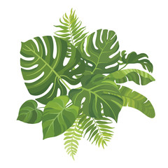 Wall Mural - Tropical green leaves bouquet on white background. Palm branches composition. Vector illustration.