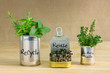 © HollyHarry - Reused tin cans containing herbs and growing salad greens with Recycle, Reuse, Reduce waste text written on cans. Zero waste at home, save money, recycle and grow your own food.