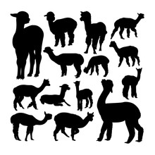 Alpaca Animal Silhouettes. Good Use For Symbol, Logo, Web Icon, Mascot, Sign, Or Any Design You Want.