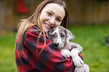 Gray Great Dane Puppy Dog