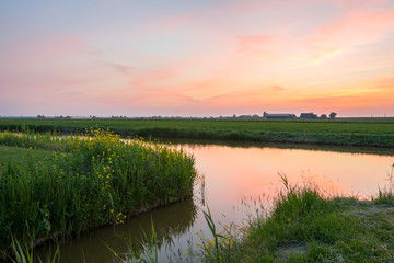 Wall Mural - clouds are colored pink and orange after the sun has set over the dutch countryside. tranquil scene 