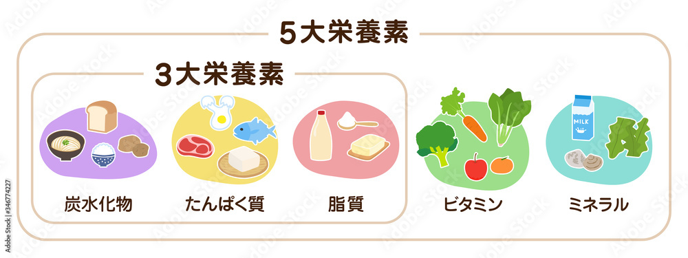 5大栄養素と3大栄養素の日本語の見出しが入った食材のベクターイラスト Alimentation Wall Mural Alimentati Oringo