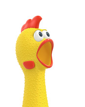 Surprised Rubber Chicken Close Up  Isolated On White