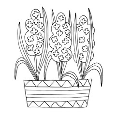 Wall Mural - Hand-drawn flower pot, coloring page