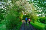 Fototapeta Kwiaty - couple walking on the road in green spring nature