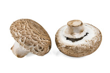 Two Raw Mushrooms On White