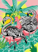 Illustration Of Flamingos