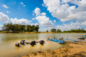 Views of Vietnam Mekong Delta