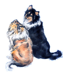 oriental style painting of two sitting dogs. traditional chinese ink and wash painting isolated on w