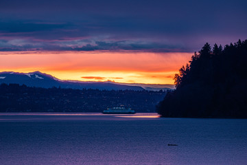 Wall Mural - sunrise in the bay