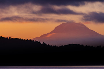 Wall Mural - mt rainier