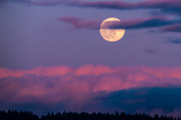 Wall Mural - moon and clouds